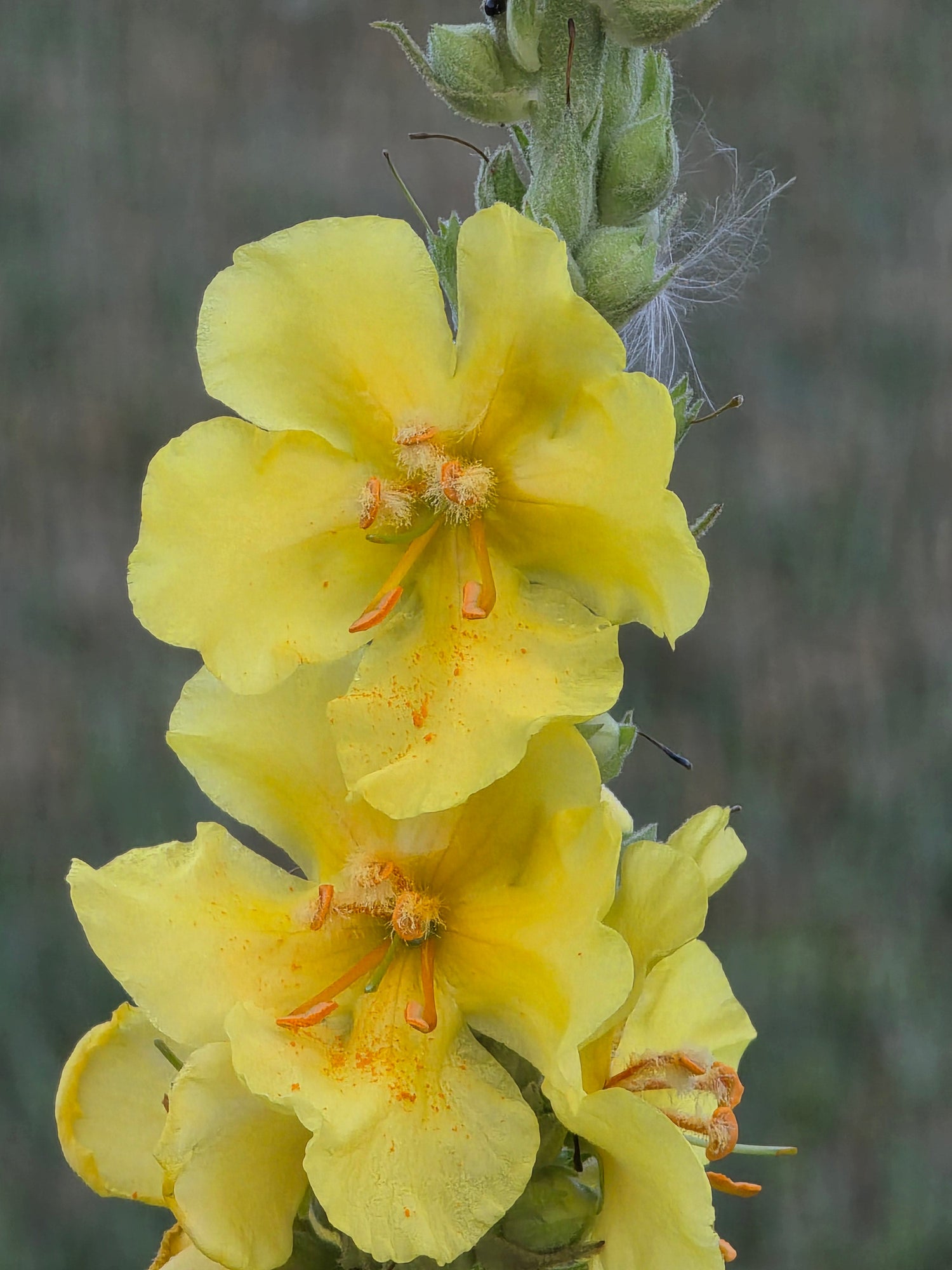 Relaxation and Sleep